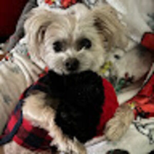 Meet your Posher, Leticia